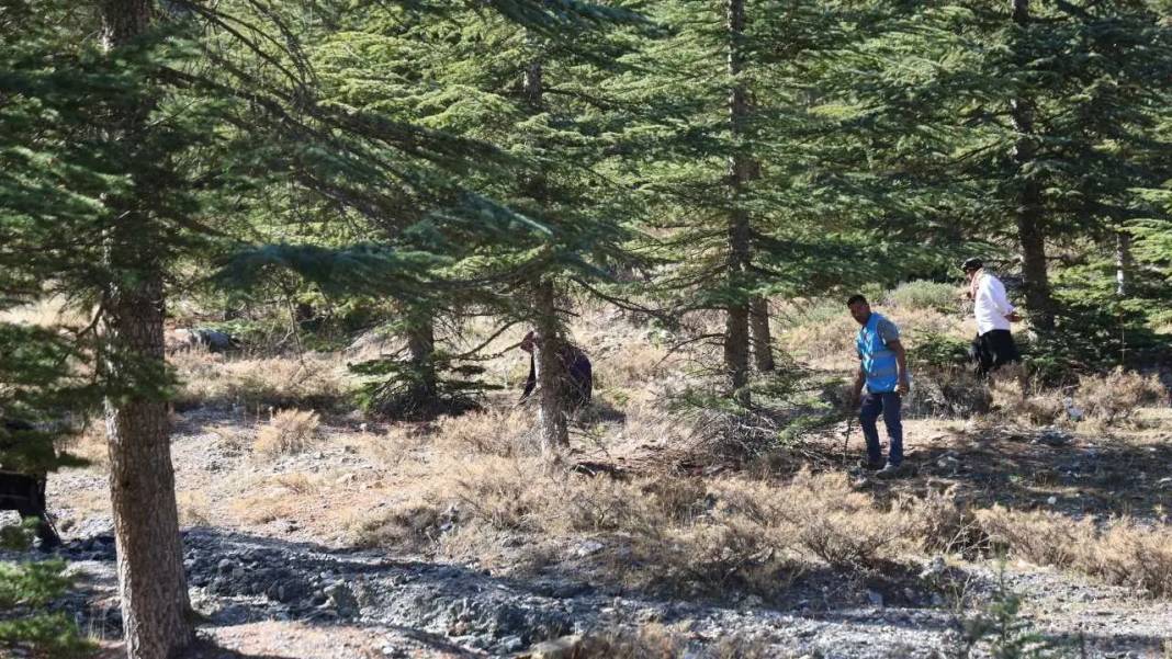 Toroslar’ın Beyaz Altını Japonya Yolcusu: Fiyatı Dudak Uçuklattı! 4